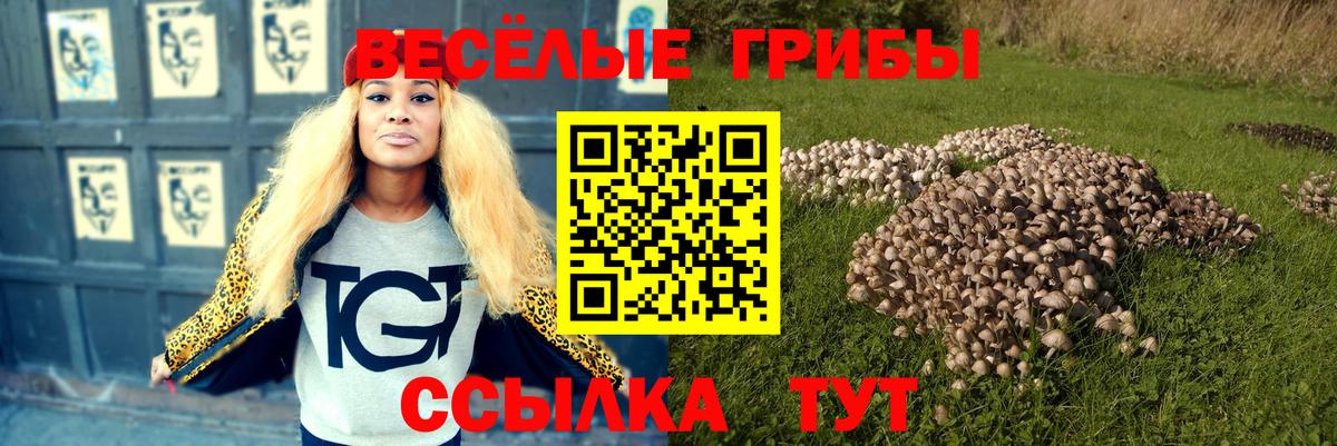 Меф кристаллы  МАРИХУАНА  Вход с VPN  Горно-Алтайск  Гашиш  КОКАИН 