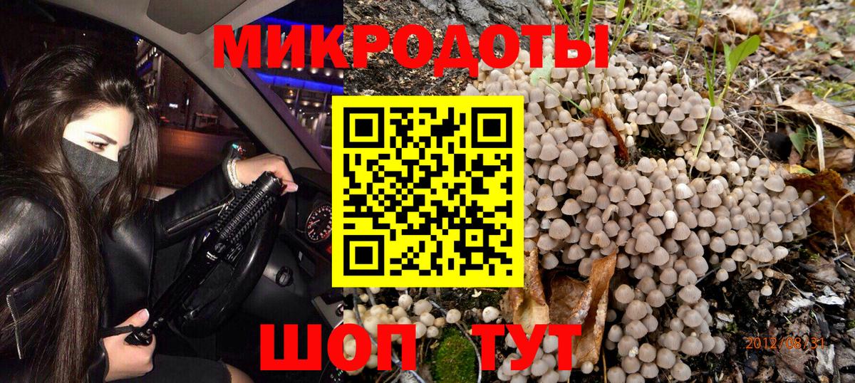 Галлюциногенные грибы прущие грибы  Псилоцибиновые грибы MAGIC MUSHROOMS  Горно-Алтайск  Вход с VPN 
