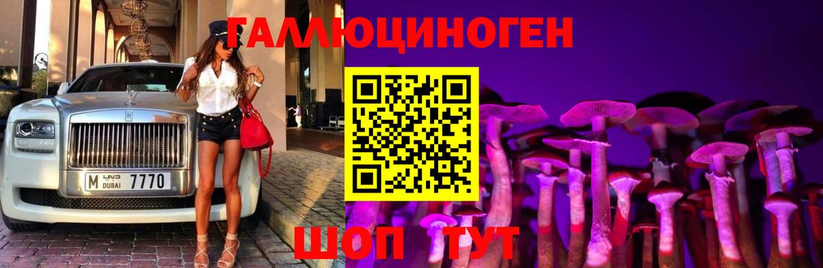 Галлюциногенные грибы Cubensis Горно-Алтайск